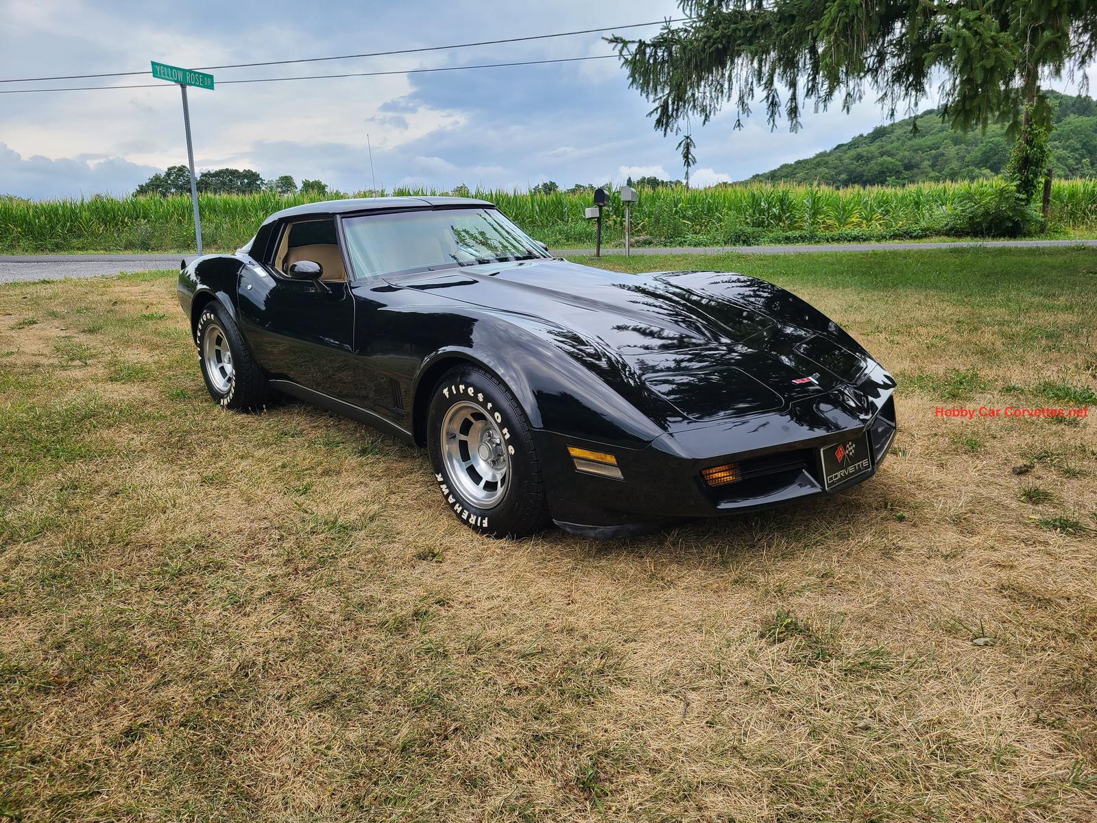 1980 corvette for sale
